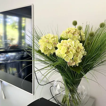 Uliveto Apartman Tettnang